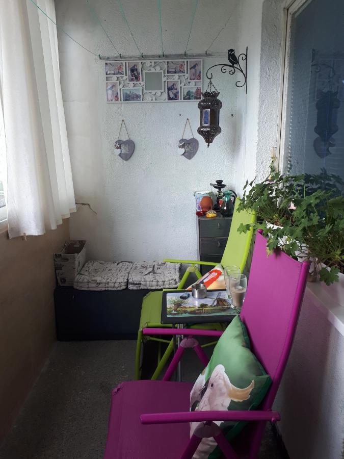 Homestay Tulips - Guest Close To The Airport, Free Street Parking