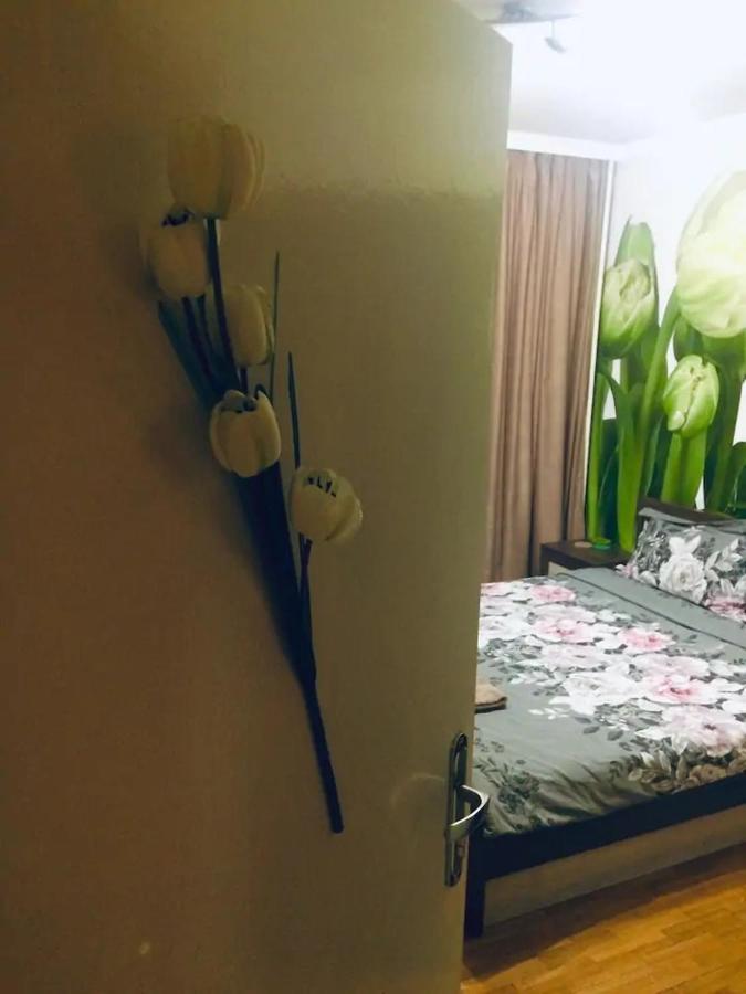 Tulips - Guest Close To The Airport, Free Street Parking Homestay Sofia