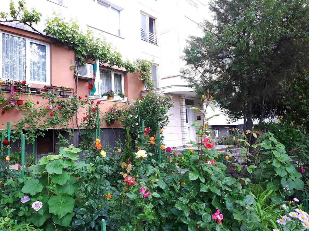 Accommodatie bij particulieren Tulips - Guest Close To The Airport, Free Street Parking *