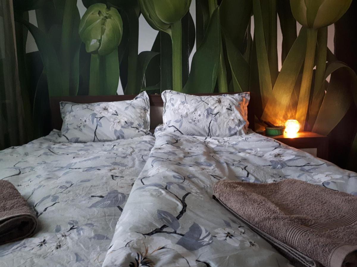 Tulips - Guest Close To The Airport, Free Street Parking *